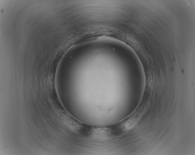 X0000062610461200512211141