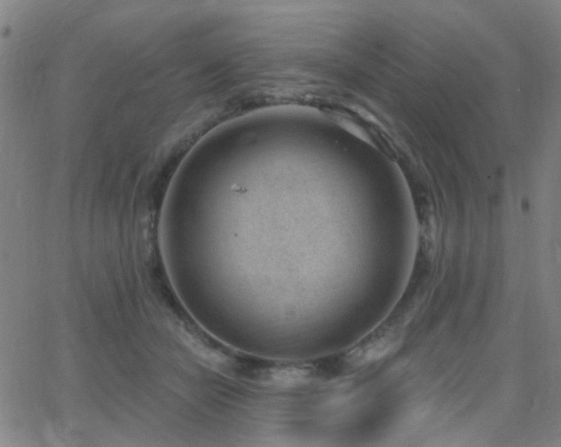 X0000062610462200512211141