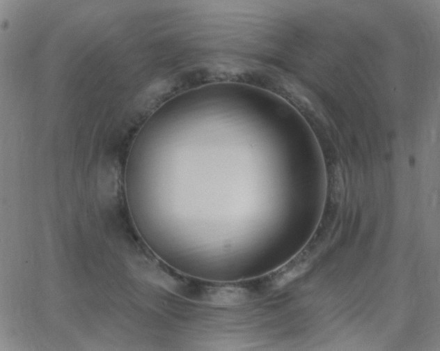 X0000062610463200512211141