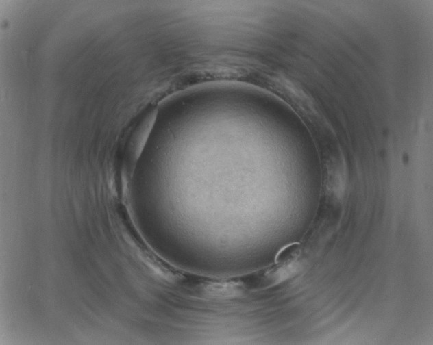 X0000062610465200512211141