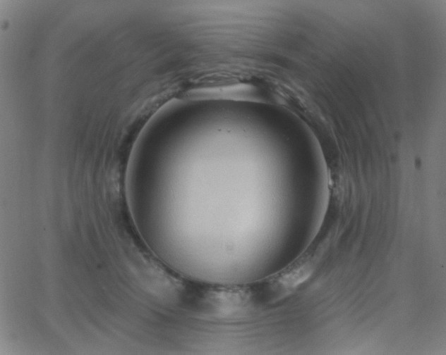 X0000062610466200512211141