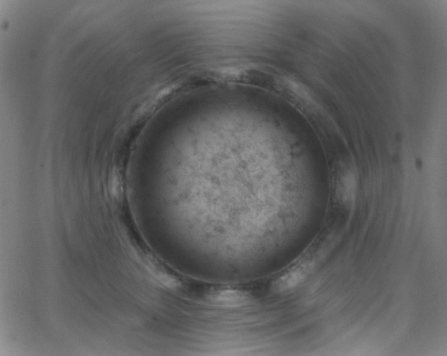 X0000062610467200512211141