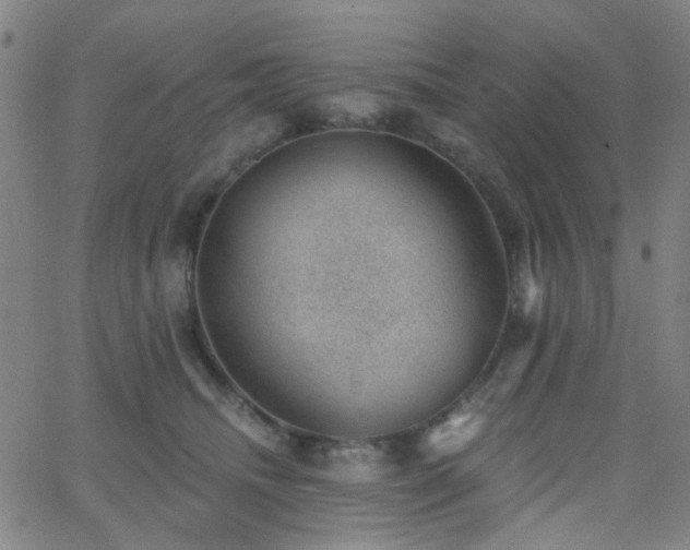 X0000062610468200512211141