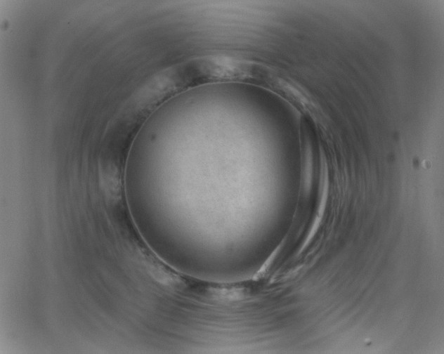 X0000062610469200512211141