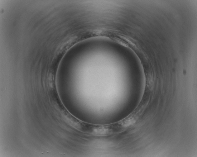 X0000062610470200512211141