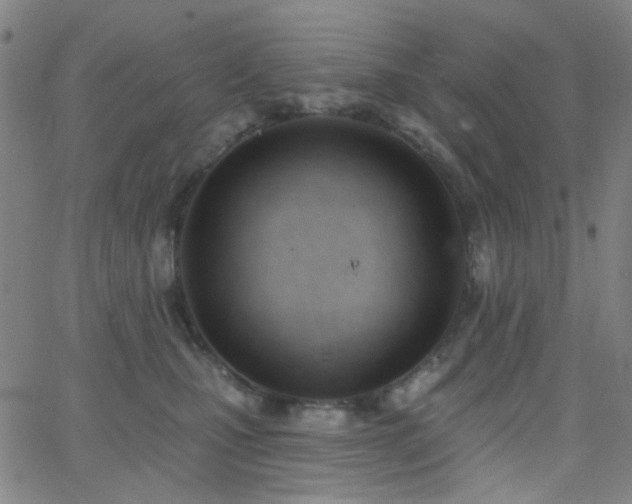 X0000062610471200512211141