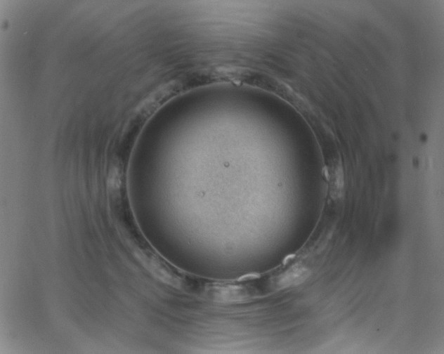 X0000062610472200512211141