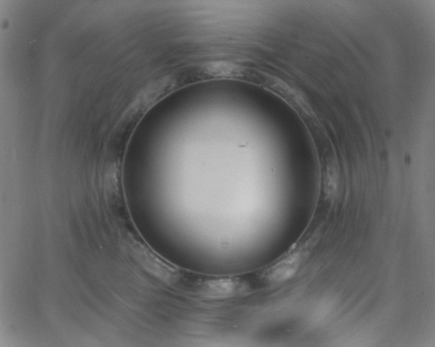 X0000062610473200512211141