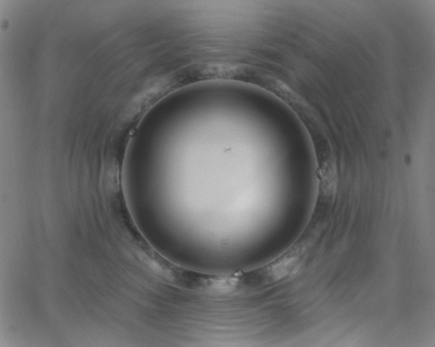 X0000062610474200512211141