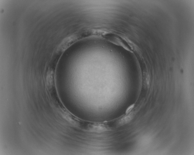 X0000062610475200512211141