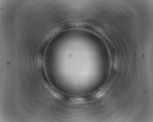 X0000062610476200512211141