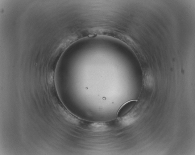 X0000062610477200512211141