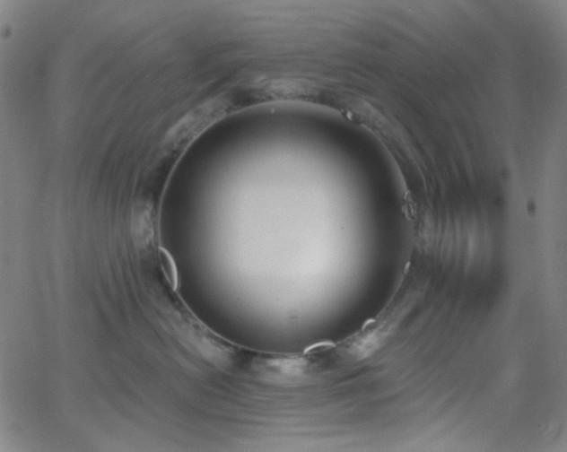 X0000062610478200512211141