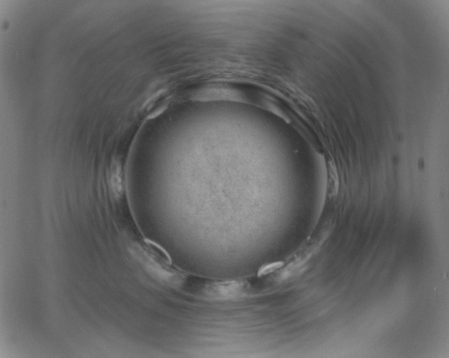 X0000062610479200512211141