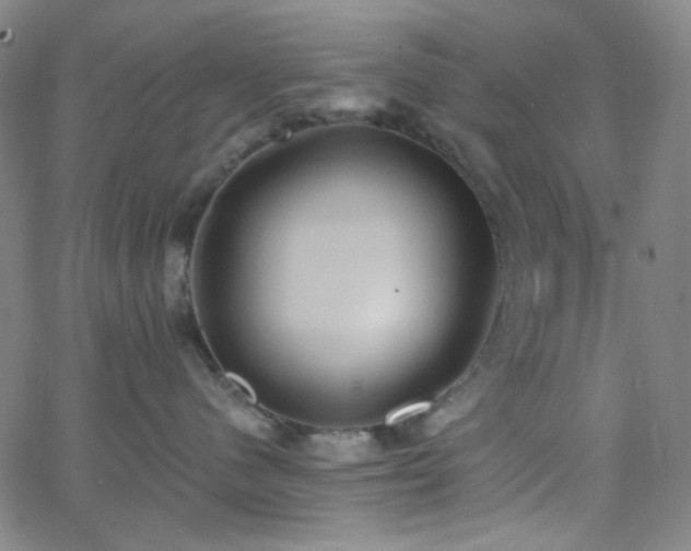 X0000062610480200512211141