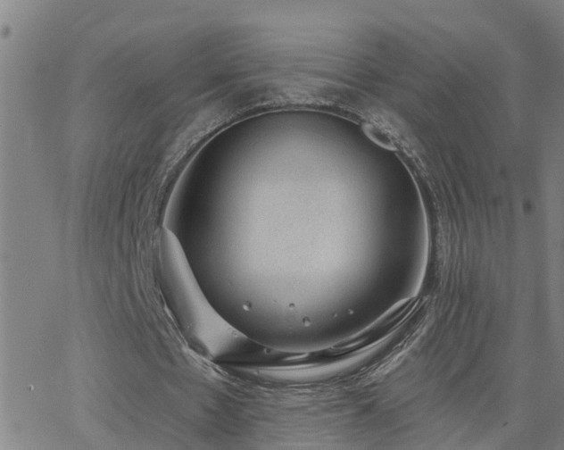 X0000062610481200512211141