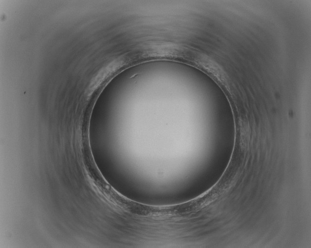 X0000062610482200512211141