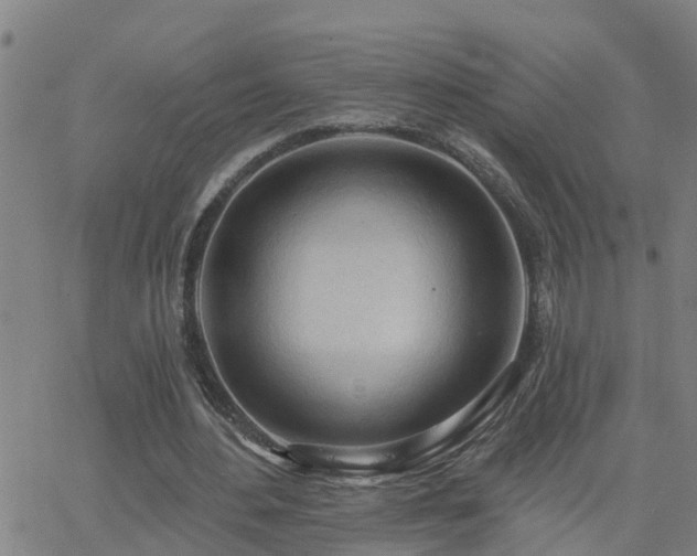 X0000062610484200512211141