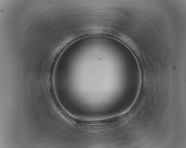 X0000062610485200512211141