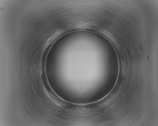 X0000062610486200512211141