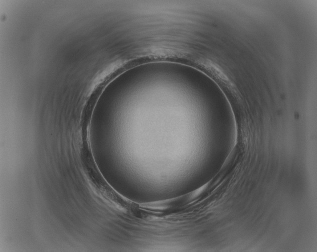 X0000062610488200512211140