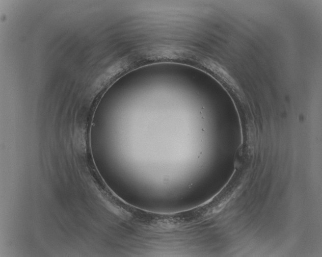 X0000062610489200512211140