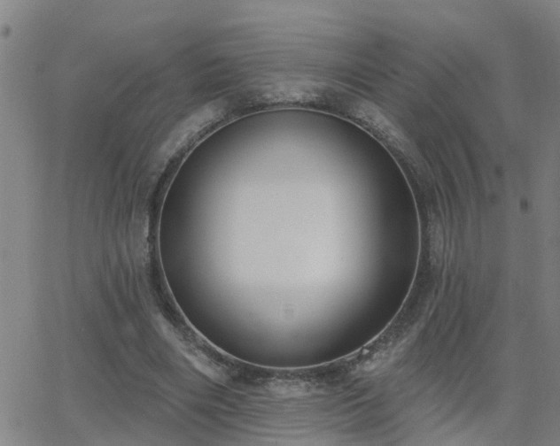 X0000062610490200512211140