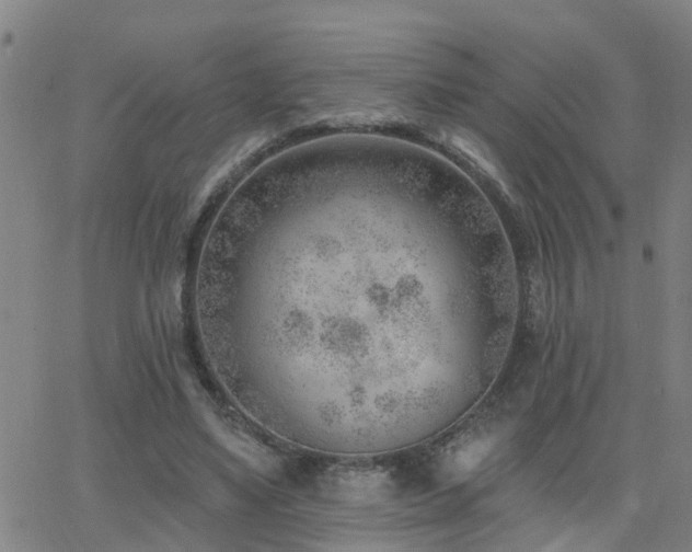 X0000062610491200512211140