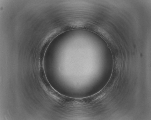 X0000062610494200512211140