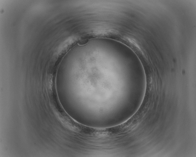 X0000062610495200512211140