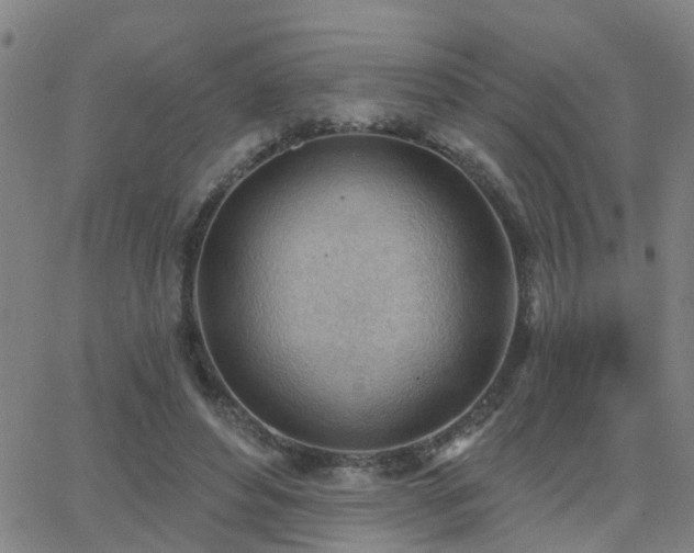 X0000062610496200512211140