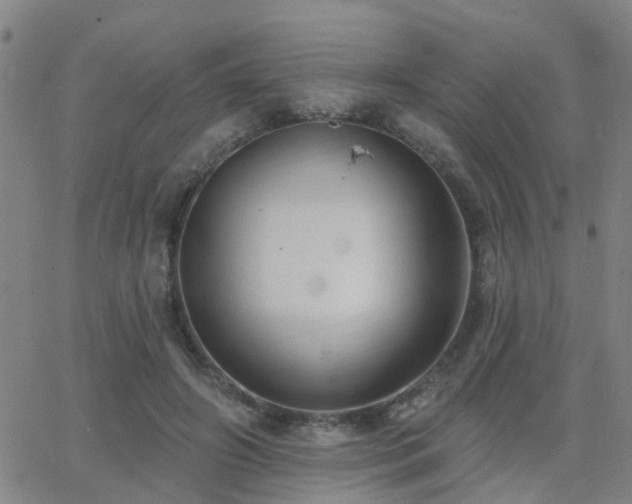 X0000062610498200512211140