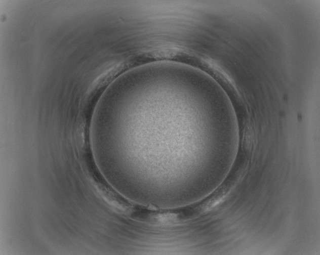 X0000062610501200512211140