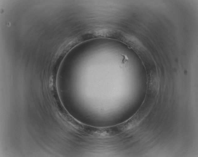 X0000062610502200512211140