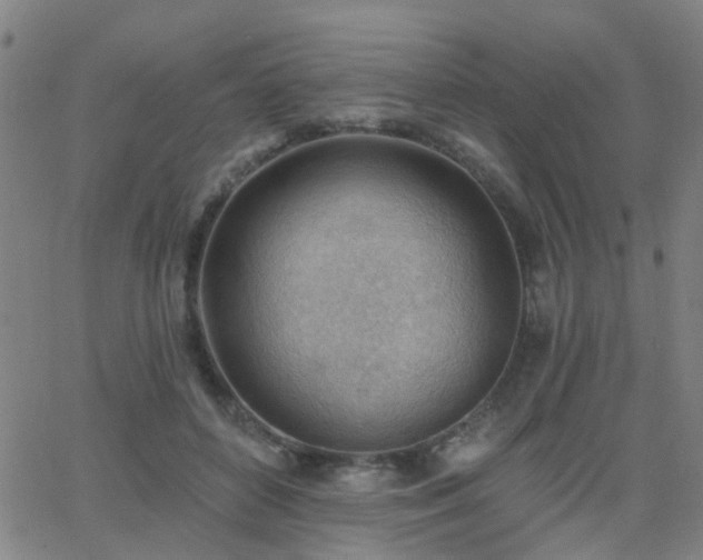 X0000062610504200512211140