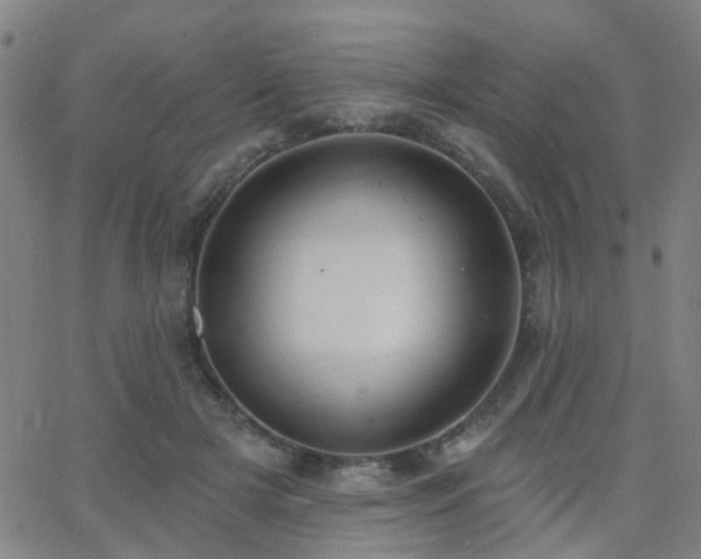 X0000062610505200512211140