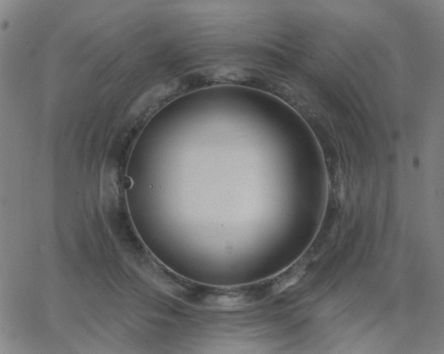 X0000062610506200512211140