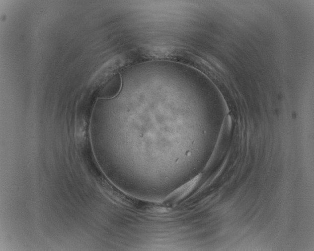 X0000062610507200512211140