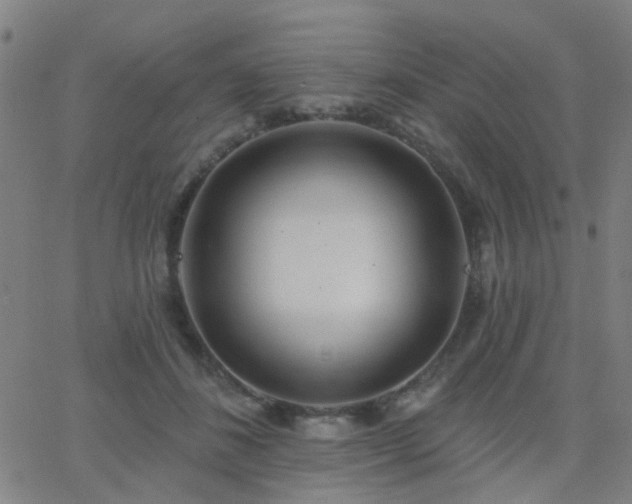 X0000062610508200512211140