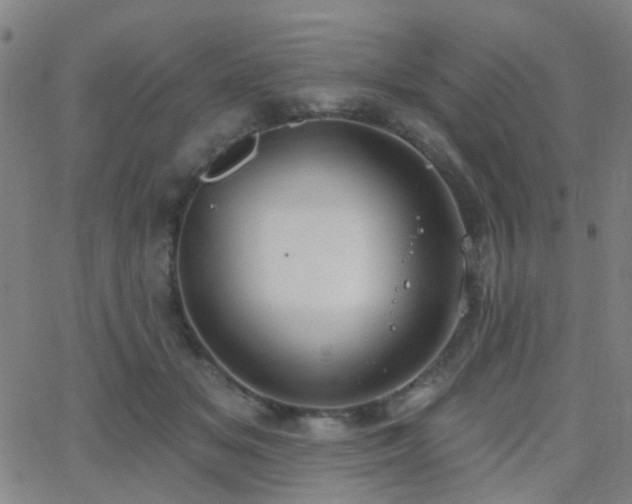 X0000062610509200512211140