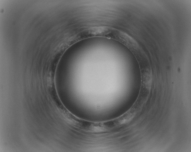 X0000062610510200512211140