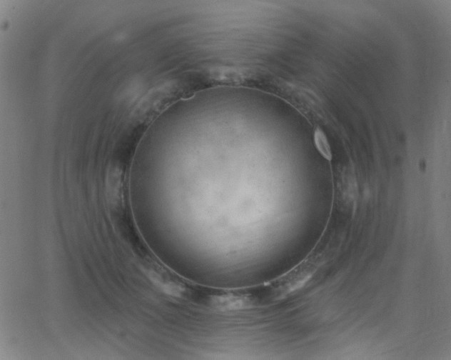 X0000062610511200512211140