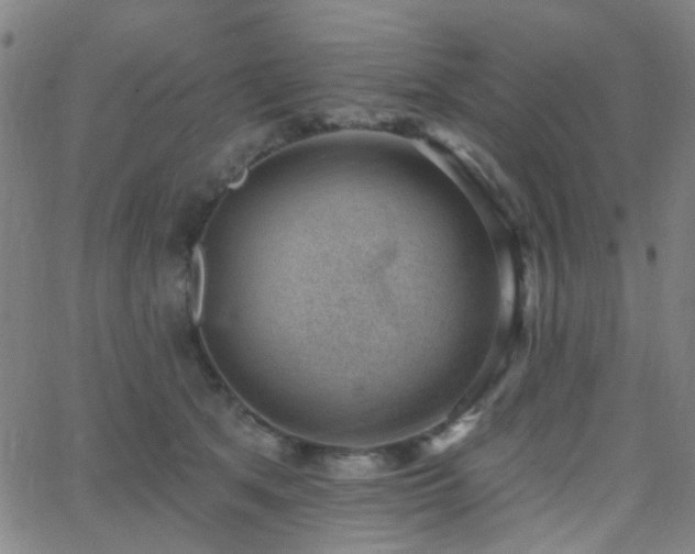 X0000062610513200512211140