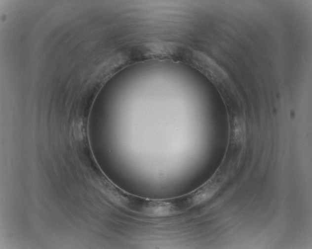 X0000062610514200512211140