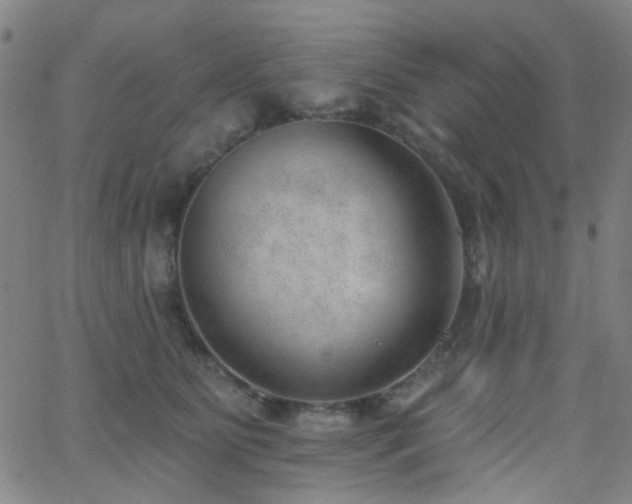 X0000062610515200512211140