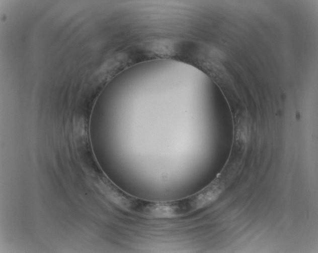 X0000062610518200512211140