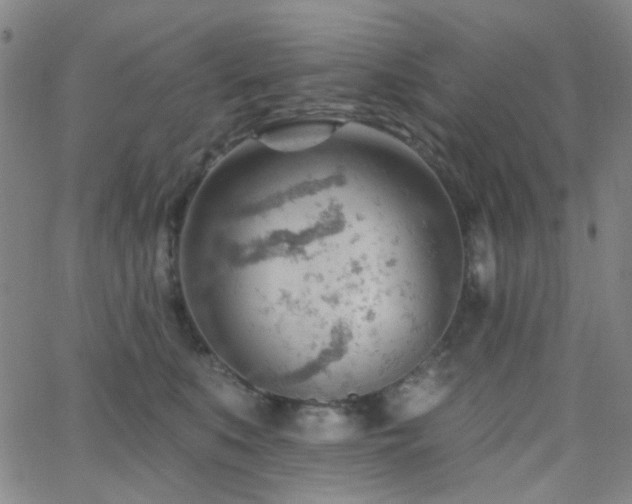 X0000062610519200512211140