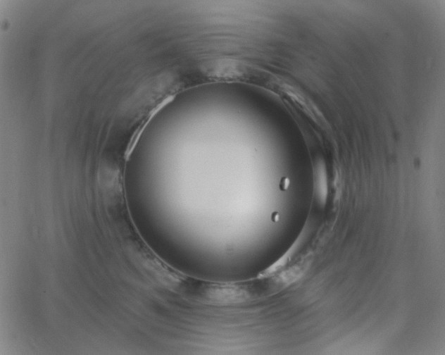 X0000062610521200512211140