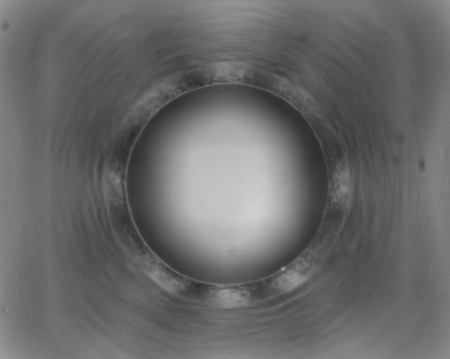 X0000062610522200512211140