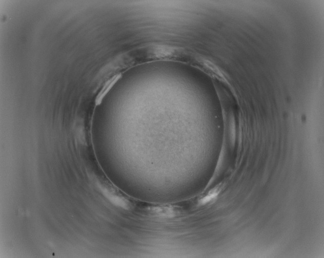 X0000062610524200512211140